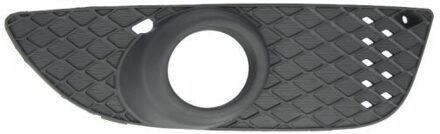 Mitsubishi Ventilatiegrille, bumper 6502073719920P