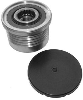 Mitsubishi Vrijlooppoelie AP9043