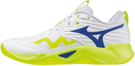 Mizuno Wave Momentum Pro Indoorschoenen Heren - 45