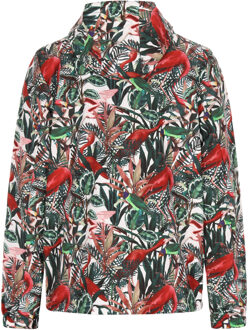 Mo Jas Heren groente