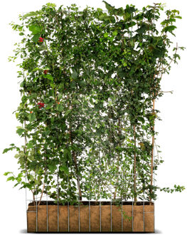 Mobilane Kant en klaar haag ECO 120x180cm.