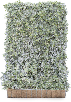 Mobilane Kant en klaar haag Hedera helix Glacier 120x180cm.