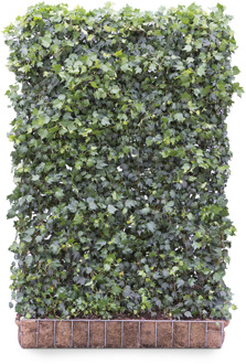 Mobilane Kant en klaar haag Hedera helix Green Ripple 120x180cm.