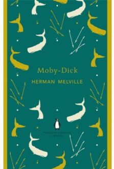 Moby-Dick - Boek Herman Melville (0141198958)