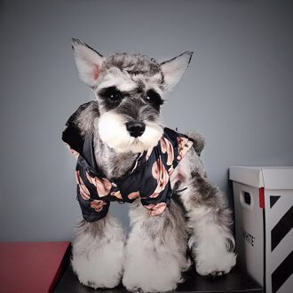 Mode Beer Print Pet Dog Regenjas Honden Regen Jas Pet Kleding Puppy Doberman Teddy Franse Bulldog Waterdichte Outdoor Hond Jas XS