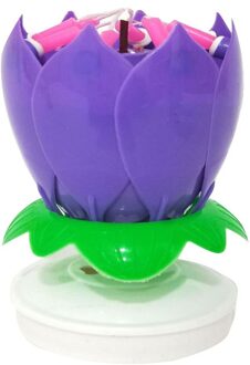 Mode Lotus Bloem Festival Muziek Verjaardagstaart Kaarsen Decoratieve Music Party