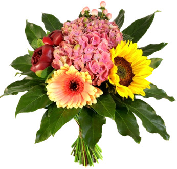 Modern boeket Hortensia - zonnebloem