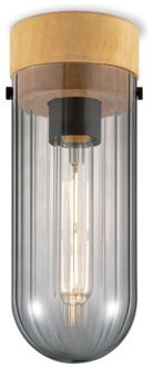 Moderne LED Plafondlamp Capri - Rook Multicolor