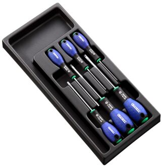 Module van 6 Resistorx® Schroevendraaiers - E194941