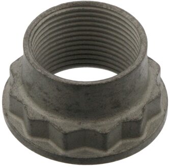 Moer, conisch tandWiel