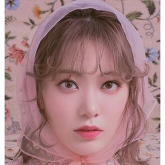 Molak 1 Day Color Lens Coral Brown 10 pcs P-1.25 (10 pcs)