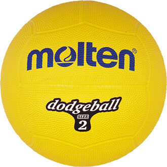 Molten Dodgeball DB2 Paars - 200mm