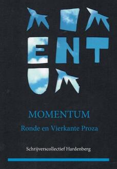 Momentum - Boek Pumbo.nl B.V. (9082717719)