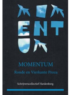 Momentum - Boek Pumbo.nl B.V. (9082717719)