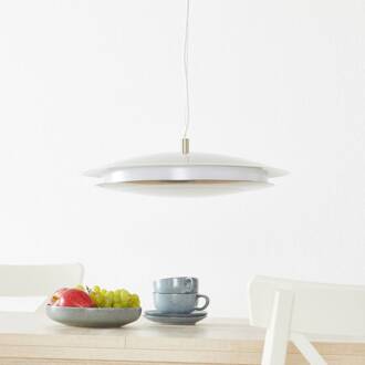 Moneva-C Hanglamp - LED - Ø 48,5 cm - Grijs/Wit - Dimbaar