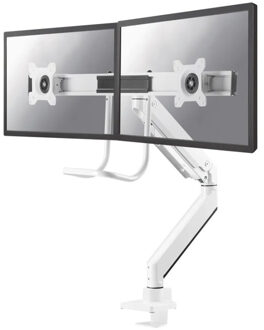 Monitor Arm NM-D775DXWIT