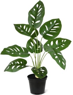 Monstera Adansonii 40 cm - Kunstplant