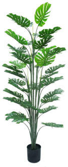 Monstera kunstplant 160 cm – Tropisch Zuid-Amerika Groen