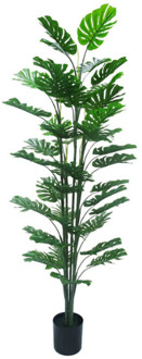 Monstera kunstplant 180 cm - Tropisch Zuid-Amerika Groen