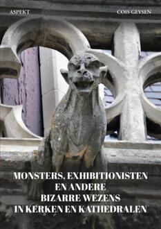 Monsters, exhibitionisten en andere bizarre wezens in kerken en kathedralen -  Cois Geysen (ISBN: 9789464871029)