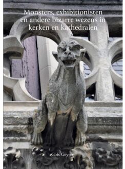 Monsters, Exhibitionisten En Andere Bizarre Wezens In Kerken En Kathedralen - Cois Geysen