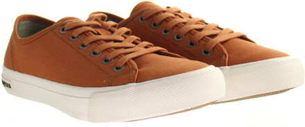 Monterey Canyon Bruin Sneaker Bruin Heren Trainers