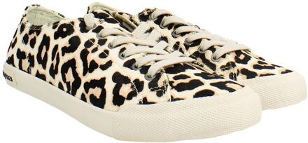 Monterey Mulholland Dames Bruine Plimsolls - EU 39/ UK 6