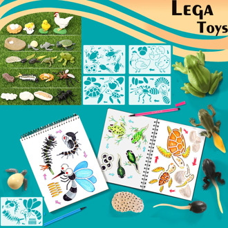 Montessori Chicken,Turtle,ants,Frog,Mosquito Life Cycle Animal Drawing Stencils and Figurines model set Educational Toys