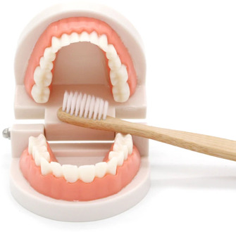 Montessori Educational Toys for Children Early Learning Kids Intelligence Brushing Tooth Teaching Aids Simulated Practical Life