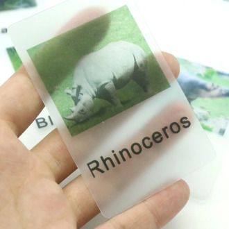 Montessori Language Materials Africa Animal Match Cards - Animals Montessori Learning Toy For Toddlers B1344T