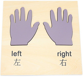 Montessori Wooden Left and Right Hand Cognition Board Basic Life Skills Training Toys for Children Left-Right Hands Coordination