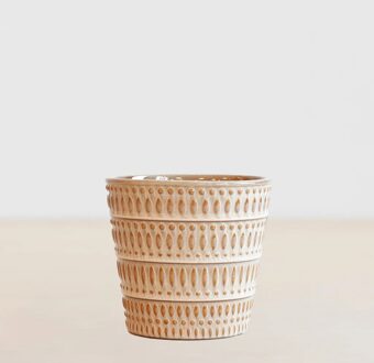 Montpellier - Geel - P12