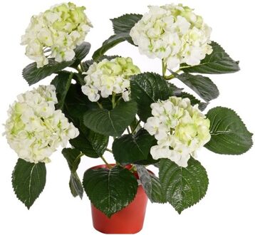 Mooie kunstplant met bloemen - Hortensia - creme wit - H36 cm - Dia 10 cm