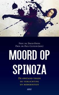 Moord op Spinoza - Boek David Pinto (946338359X)