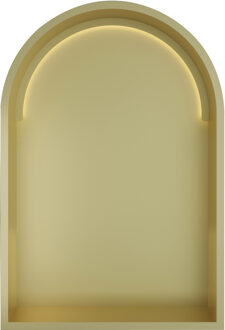 &MORE Inbouwnis Toogmodel 30x45x10cm met LED IP44 Geborsteld Messing PVD