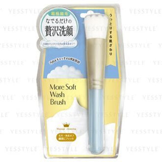 More Soft Wash Brush 1 pc