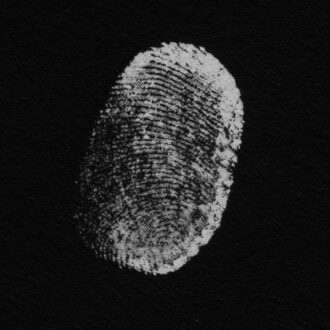 More Touch - Patricia Brennan