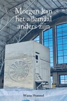 Morgen kan het allemaal anders zijn - Wietse Hummel - ebook