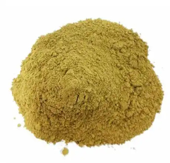 Moringa powder