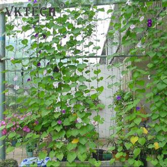 Morning Glory Nylon Trellis Netto Tuin Netting Plant Ondersteuning Voor Klimmen Wijnstok Planten Groente Landbouw Accessoires