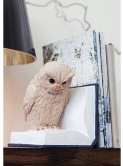 Moses boekensteun Uil op boek 13 x 16,5 cm polyresin wit