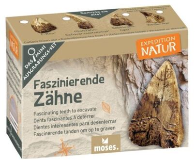 Moses Expeditie Natuur Uithakset Multikleur