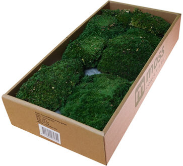 MOSS concepts bolmos mosgroen 300 gram