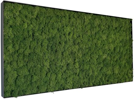 Mosschilderij Fay Metal 100x50cm.