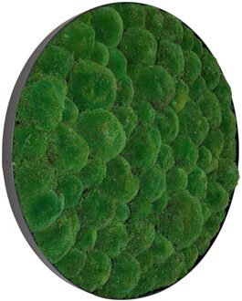 Mosschilderij Jade Metal 60cm.