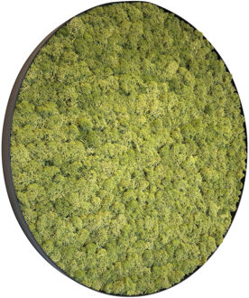 Mosschilderij Leah Metal 120cm.