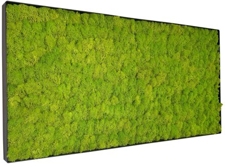 Mosschilderij Linn Metal 100x50cm.