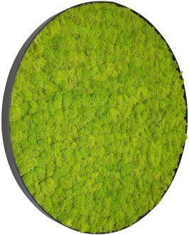 Mosschilderij Linn Metal 80cm.