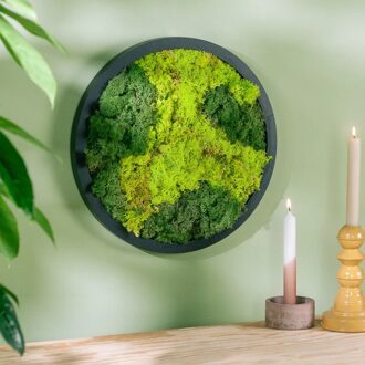 Mosschilderij Rond - L