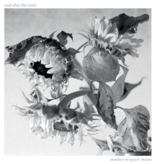 Mother-Of-Pearl Moon - And Also The Trees